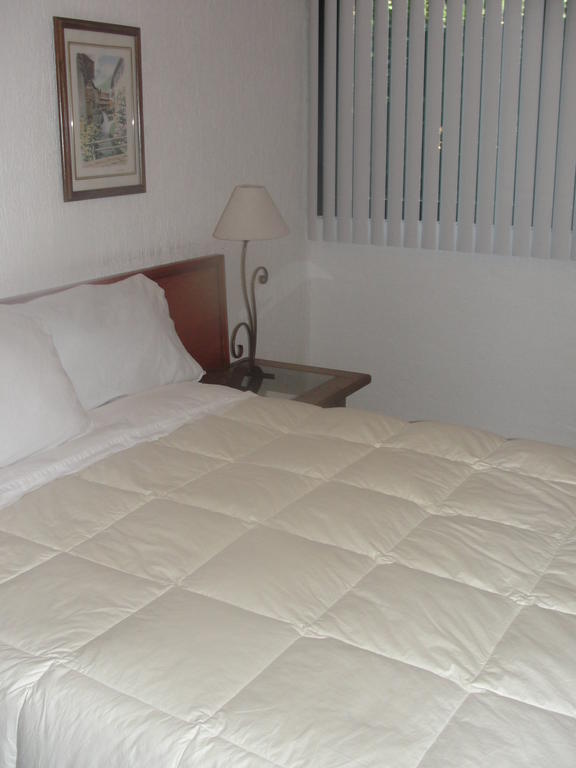 Steinhaus Suites Homero Mexico City Exteriör bild